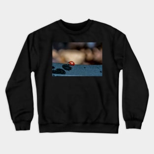 Ladybird Crewneck Sweatshirt